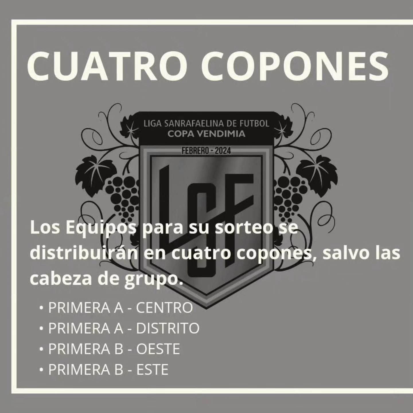 Copa Vendimia Info 3